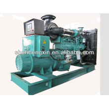 250KVA Diesel Generator (Cummins NT855-GA)